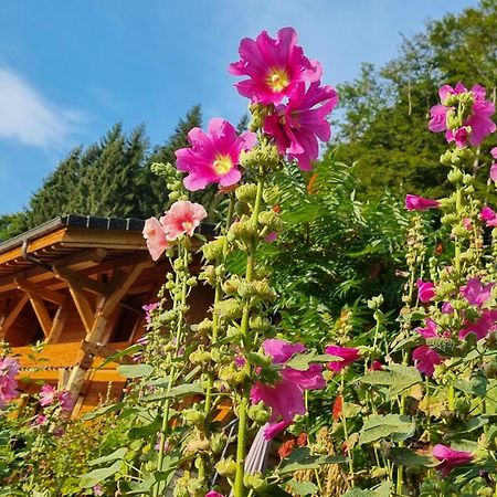 Chalet Arpitan - Les Carroz - Grand Massif Екстер'єр фото