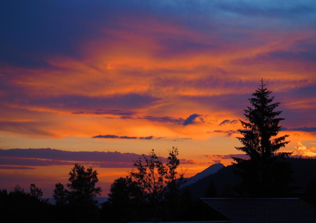 Chalet Arpitan - Les Carroz - Grand Massif Екстер'єр фото