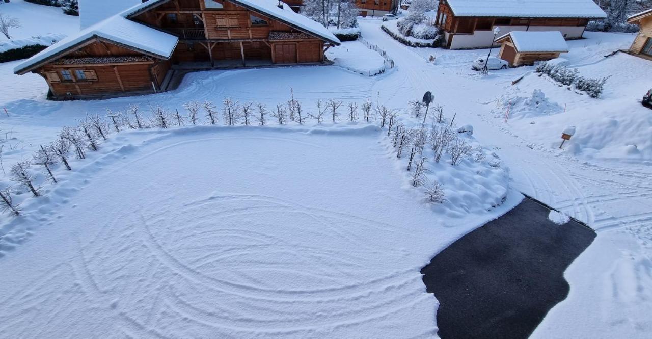 Chalet Arpitan - Les Carroz - Grand Massif Екстер'єр фото
