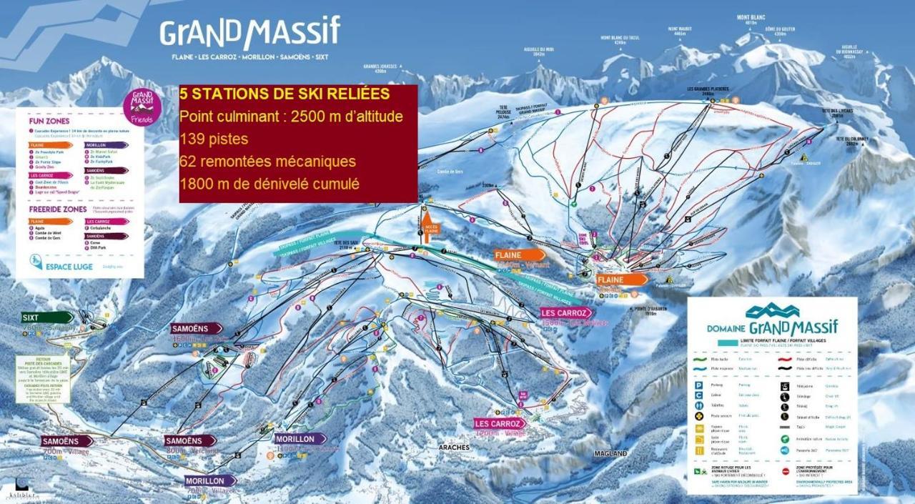 Chalet Arpitan - Les Carroz - Grand Massif Екстер'єр фото