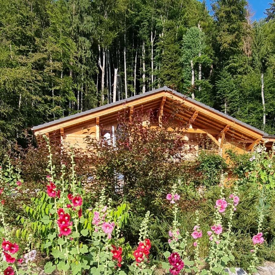 Chalet Arpitan - Les Carroz - Grand Massif Екстер'єр фото