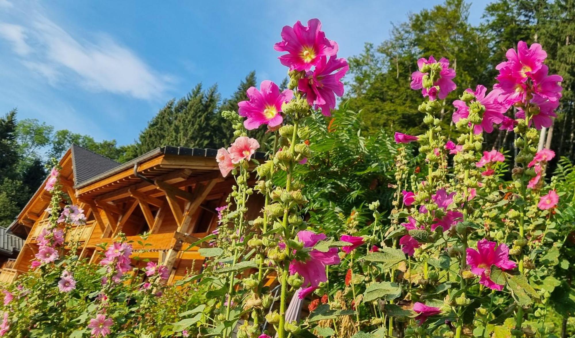 Chalet Arpitan - Les Carroz - Grand Massif Екстер'єр фото